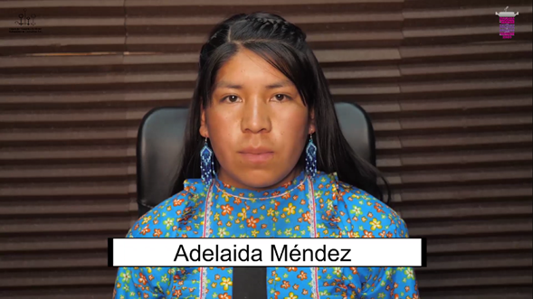 Mujeres indígenas participantes de procesos politico-electorales