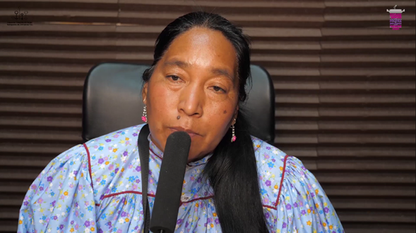 Mujeres indígenas participantes en procesos político-electorales 3