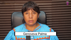 Mujeres Indígenas participantes en proceso político-electorales 6