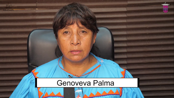 Mujeres Indígenas participantes en proceso político-electorales 6