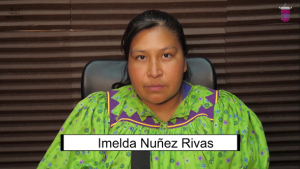 Mujeres Indígenas participantes en proceso político-electorales 7